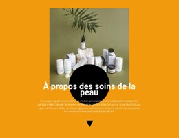 Cosmétique Professionnelle Modèle CSS Premium