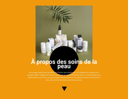 Modèle CSS Pour Cosmétique Professionnelle