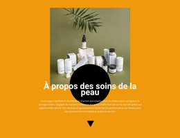 Thème WordPress Gratuit Pour Cosmétique Professionnelle