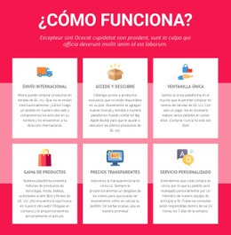 Diseño De Sitio Web Para Envío Internacional