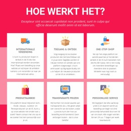Websiteontwerp Voor Internationale Verzending