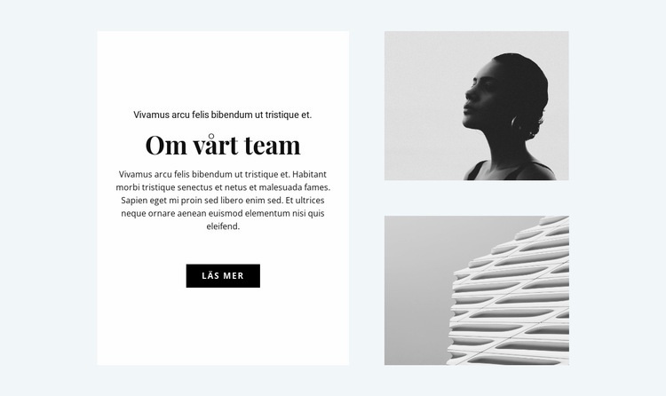 Om designteamet CSS -mall