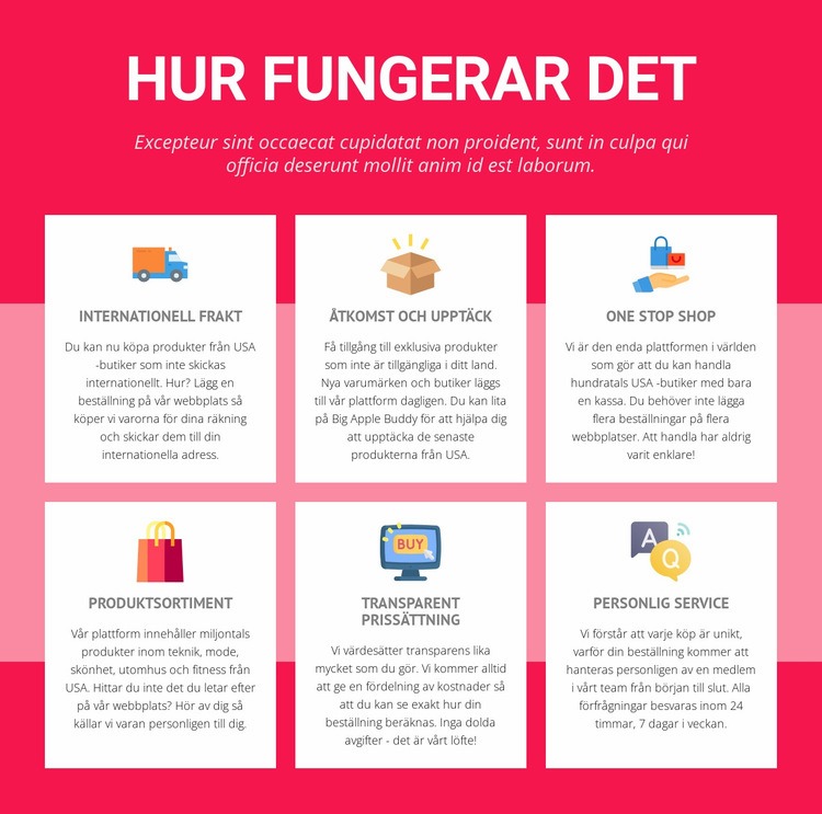 Internationell frakt Hemsidedesign