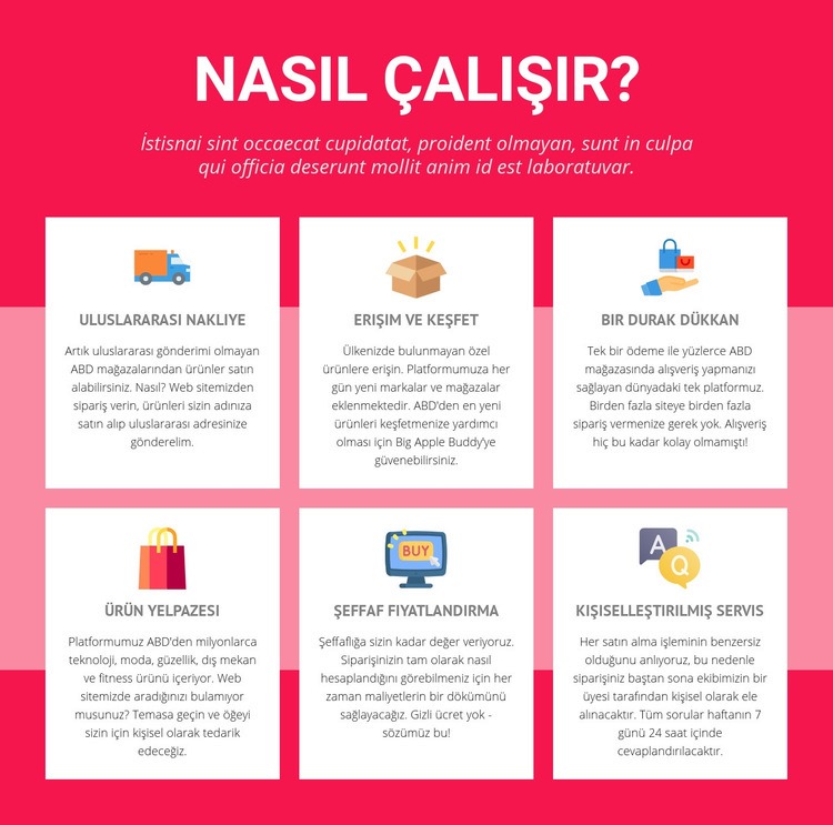 Uluslararası nakliye Web sitesi tasarımı