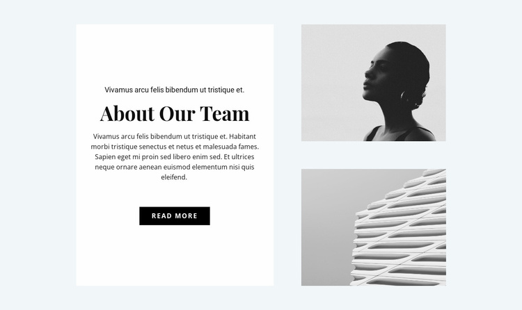 About the design team Website Template