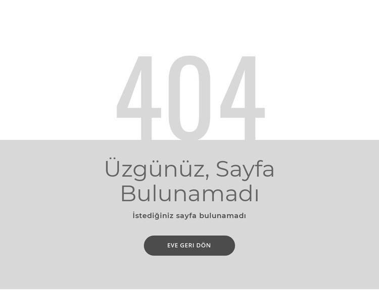 404 hata sayfası şablonu Açılış sayfası