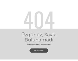 404 Hata Sayfası Şablonu