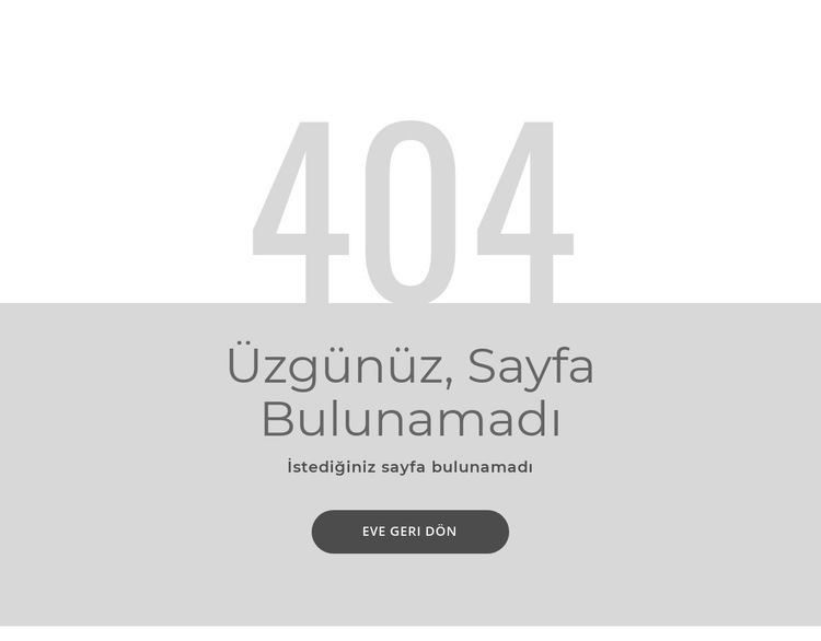 404 hata sayfası şablonu Şablon