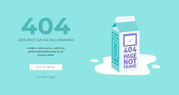 Creative 404 Hata Sayfası - WordPress Ve WooCommerce Teması