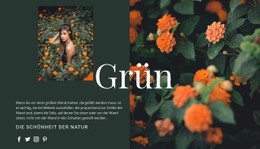 Sorten Der Farbe Grün Einfache CSS-Vorlage