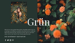 Sorten Der Farbe Grün - Website-Vorlagen