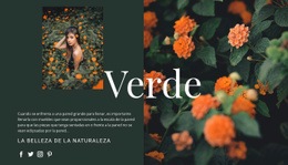 Variedades Del Color Verde. - HTML Generator Online