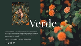 Variedades Del Color Verde. - Diseño Sencillo