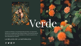 Variedades Del Color Verde. Plantilla CSS Sencilla