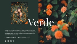 Variedades Del Color Verde. - Hermosa Plantilla HTML5