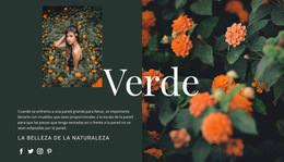 Variedades Del Color Verde.: Plantilla De Sitio Web Sencilla