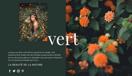 Variétés De Couleur Verte - Superbe Modèle HTML5