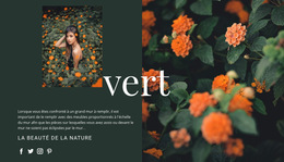 Variétés De Couleur Verte – Modèle De Site Web Mobile