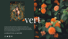 Thème WordPress Premium Pour Variétés De Couleur Verte