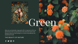 Varieties Of The Color Green Creative Agency