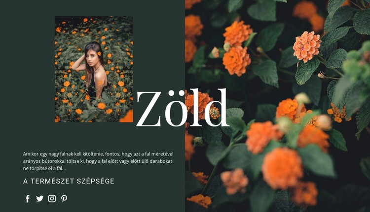 A zöld szín fajtái WordPress Téma