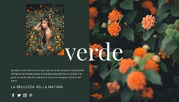 Varietà Di Colore Verde Modello CSS Semplice
