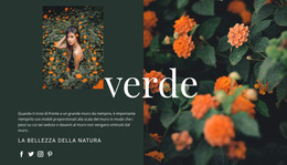 Bootstrap HTML Per Varietà Di Colore Verde