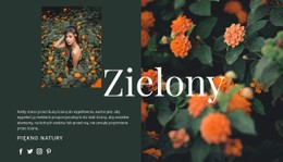 Odmiany Koloru Zielonego Prosty Szablon CSS