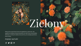 Załaduj HTML Dla Odmiany Koloru Zielonego