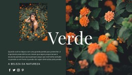 Variedades Da Cor Verde Modelo CSS Simples
