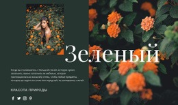 Разновидности Зеленого Цвета – Создать Макет Веб-Страницы