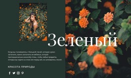 Разновидности Зеленого Цвета – Шаблоны Веб-Сайтов