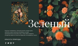 Премиум-Тема WordPress Для Разновидности Зеленого Цвета