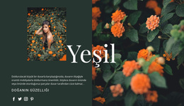 Yeşil Renk Çeşitleri Için Premium WordPress Teması