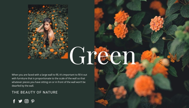 Varieties of the color green Webflow Template Alternative