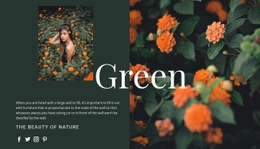 Varieties Of The Color Green HTML Editor For {0]