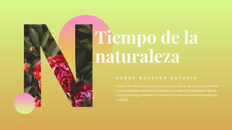 Tiempo De La Naturaleza: Plantilla HTML Y CSS