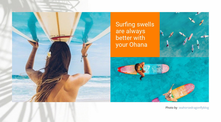 Sufing travel on Ohana Landing Page