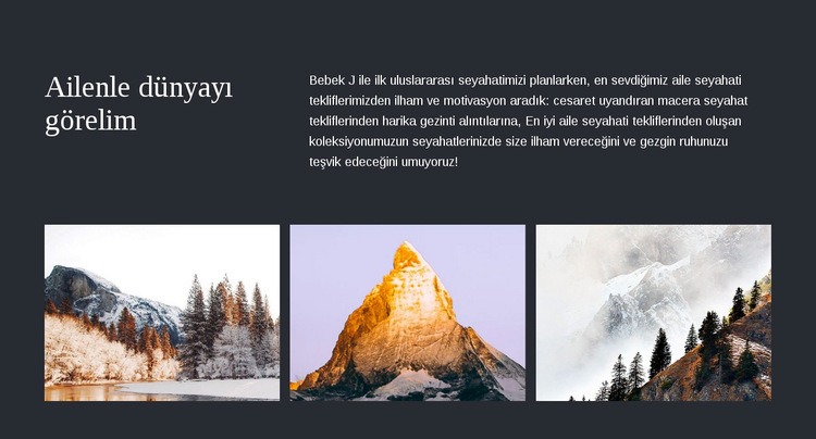 Ailenle seyahat et Web Sitesi Mockup'ı