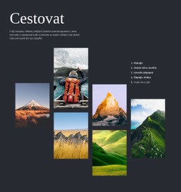 Cestovat