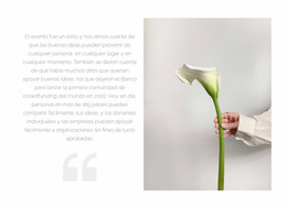 Cita Y Flor Hermosa - Inspiración De Plantilla Joomla