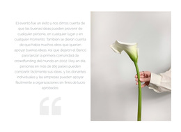 Cita Y Flor Hermosa: Detalles De Las Variaciones De Arranque