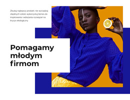 Nasza Strategia Uniwersalny Motyw WordPress