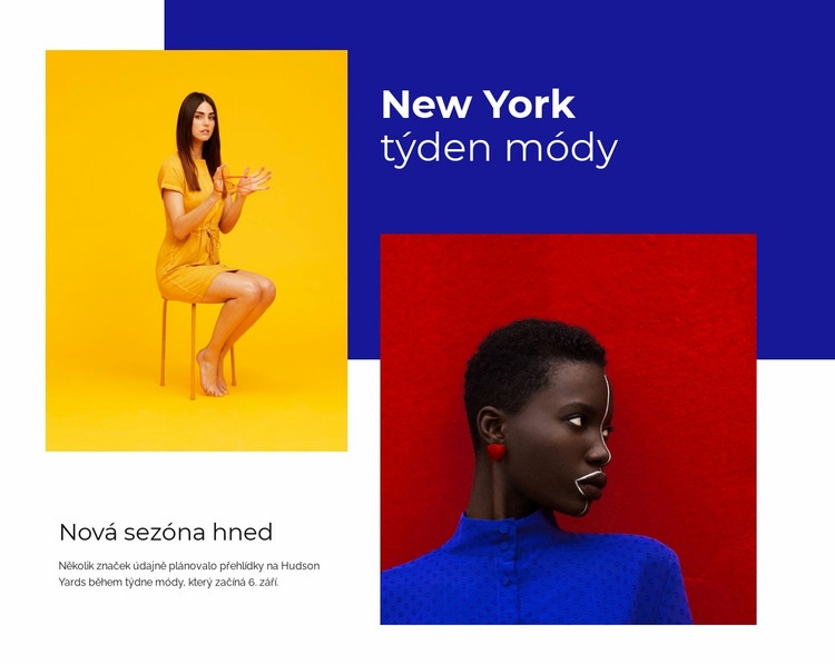 Týden módy v New Yorku Šablona webové stránky