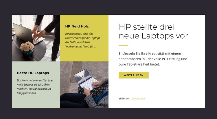 Moderne Laptops Website design