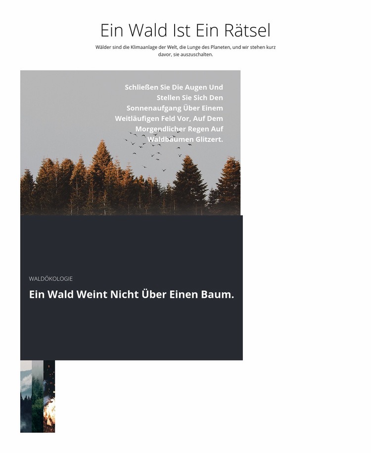 Reise Waldtouren Website design