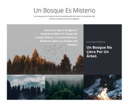 Viajes Recorridos Por El Bosque - Creador De Sitios Web Profesional