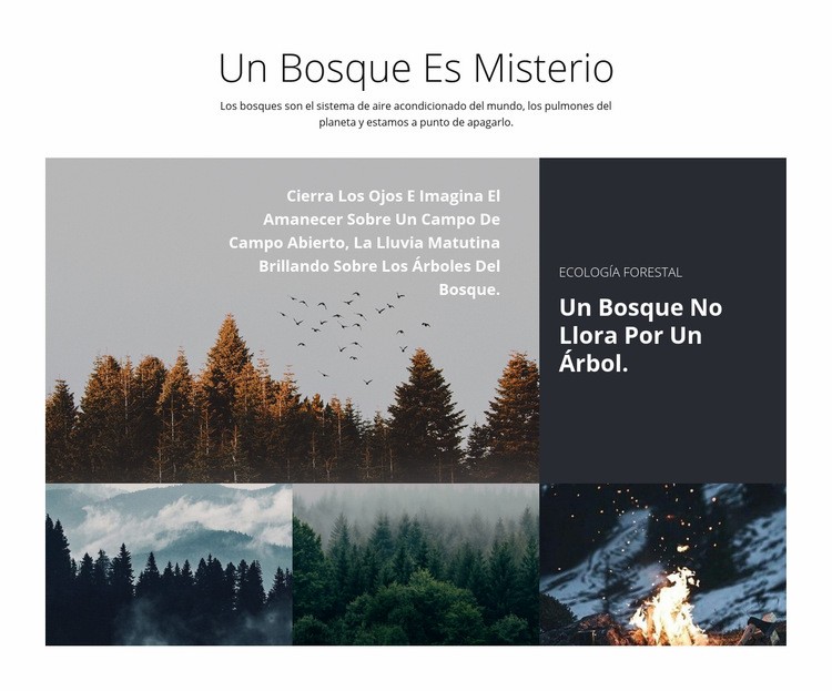 Viajes recorridos por el bosque Diseño de páginas web