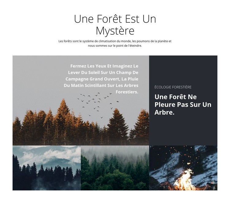 Voyages en forêt Modèles de constructeur de sites Web