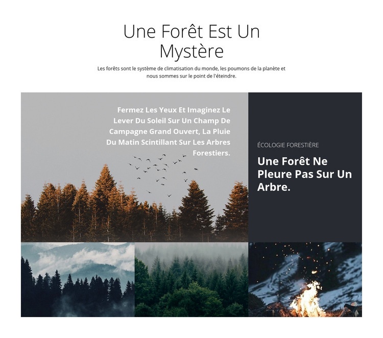 Voyages en forêt Modèle HTML5